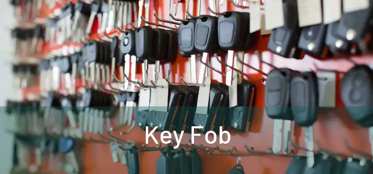  Key Fob 